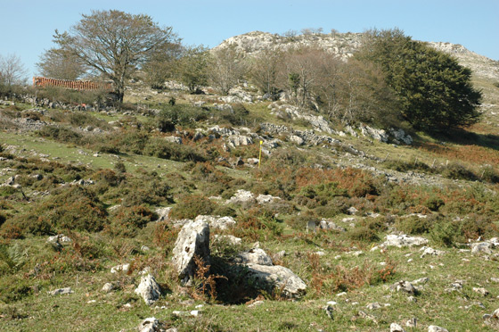 Tumulus d'Urtapotolueta II