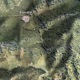 Basateko harrespilaren satelitearen ikusmena