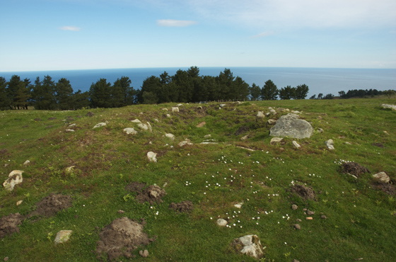 Iskulingo trikuharria