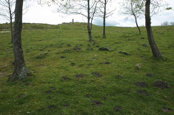 Jaizkibel II harrespilak