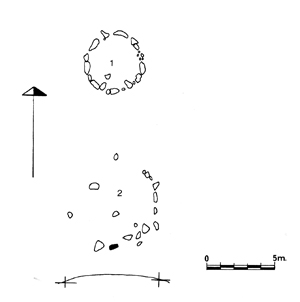 Kauso I harrespilaren eskema