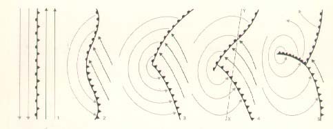 Zikloiak eta antizikloiak