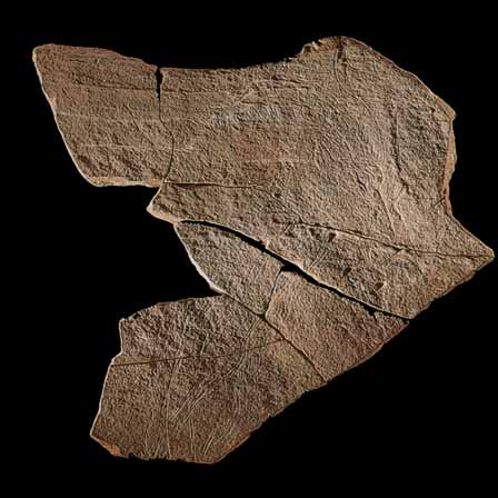 Plaqueta de arenisca grabada con una cabra mont&eacute;s, un ciervo y un caballo 