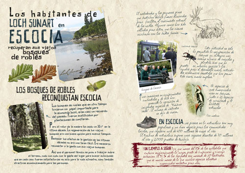 M&oacute;dulo 5