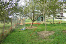 Lugar en el que se encuentra la fosa.