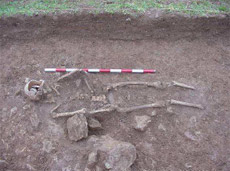 El esqueleto encontrado en el interior de la fosa antes de proceder a su extracci�n.