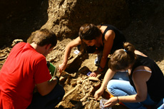 Im�genes de la exhumaci�n ( cementerio de Asteasu )