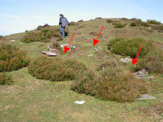 Aspecto de los enterramientos con lajas.