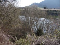 Vista de la zona de enterramientos ( Lantar�n )