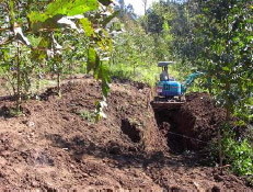 Cartograf�a de Gernika y ortofoto del cementerio de Zallo.