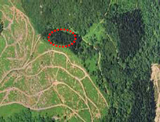 Ortofoto Diputaci�n Foral de Bizkaia con indicaci�n de lugar de la fosa de Santa Luzia.