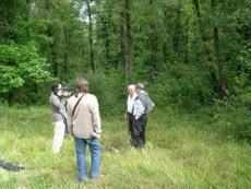 Ubicaci�n concreta de la fosa.