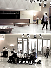 Explicaci&oacute;n de la obraMi propuesta consiste en colocar sobre estos bancos o plataformas los dossieres presentados a concurso con el previo permiso de cada uno de los participantes. La idea es la de mostrar el material presentado recontextualizado que de otra manera quedar&iacute;a archivado y oculto a los visitantes de la exposici&oacute;n, todo ello teniendo en cuenta en el contexto en el cual se inscribe, GURE ARTEA 2002.