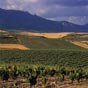 Acc�s � Vignobles Rioja Alavesa