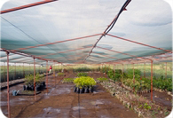 PROYECTOS DE COOPERACI�N