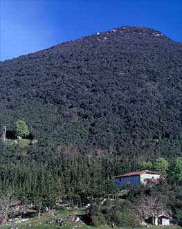 Berg Ere&ntilde;usarre
