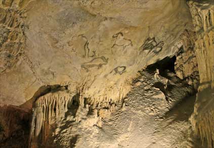 Vista del panel principal de la c&aacute;mara