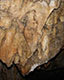 Basahuntzera sartu