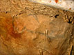 Bisontera sartu