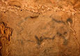 Bisontera sartu