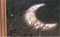 Kartela: Winkyren Zaldia 