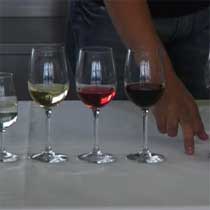 Servicio: temperatura correcta del vino