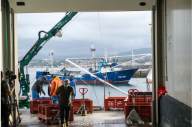 Seguridad en puertos
