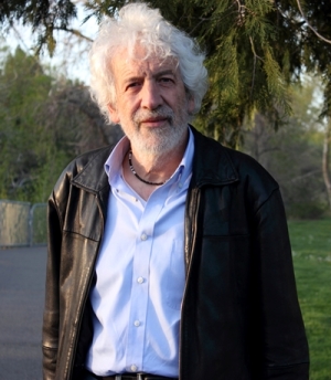 Joseba Zulaika Irureta