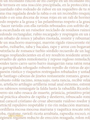 NUNCA LLEVO FALDA PORQUE NO SÉ CRUZAR LAS PIERNAS