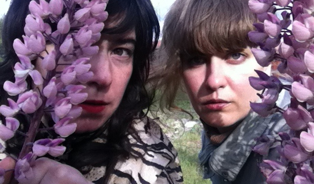 PINK FLAMINGOS, CRAZY HORSES