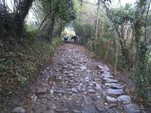 esteka leiho berri batean irekiko da 