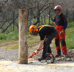 Peli Manterola en el acto de entrega de los primeros carnets europeos de motoserristas (ECC) que se han gestionado �ntegramente en Euskadi