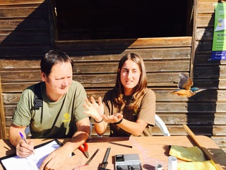 Jaizubia, Hondarribia, Txingudi