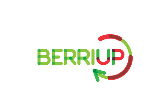 Berri Up 2021 - 19 (Programa de Aceleraci�n de Startups de 4 meses)