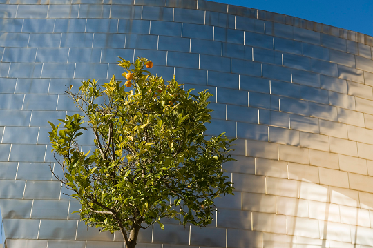 El Museo Guggenheim Bilbao presenta un plan de sostenibilidad ambiental pionero en el sector