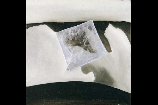 Artium Museoa presenta la exposici�n 'Black Place' de Jutta Koether