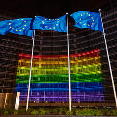 D�a Internacional contra la homofobia