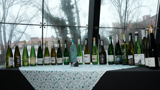 20230117-OROZ-TXAKOLI-05.jpg