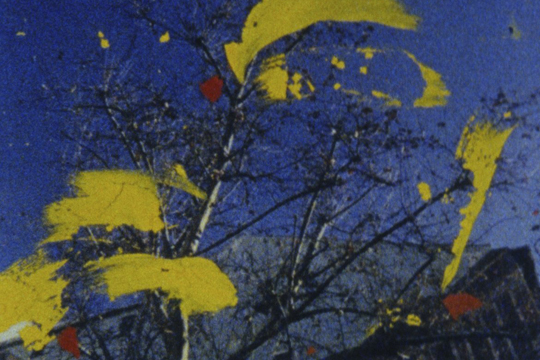 Punto de Vista generar� espacios de reflexi�n sobre la creaci�n y producci�n en el cine documental en Lan