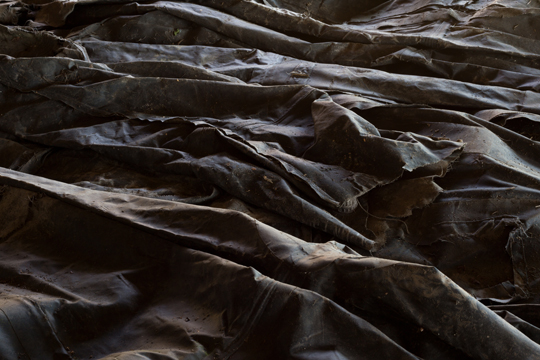 El Museo de Arte Contempor�neo del Pa�s Vasco presenta su programa de exposiciones de 2025