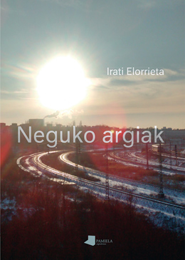 Neguko argiak