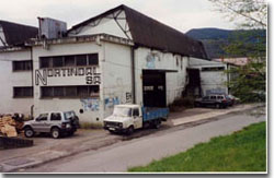 RUINA INDUSTRIAL SITA EN EL Nº2 DEL POLIGONO INDUSTRIAL UGALDEA 