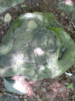 Sasi eta odeien artean / Entre bardisses i n&uacute;vols