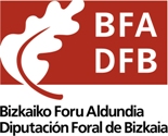 Logo - Bizkaiako Foru Aldundia