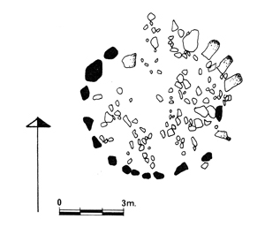 Arritxurrietako harrespilaren eskema
