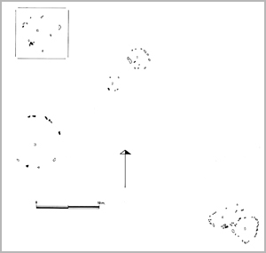 Basateko harrespilaren eskema