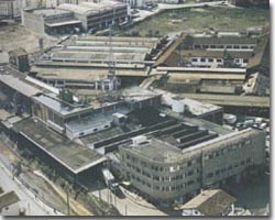 SUCESORES ERNESTO MONTERO