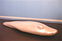 Proyectil modelo Fredy