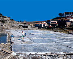 Salinas