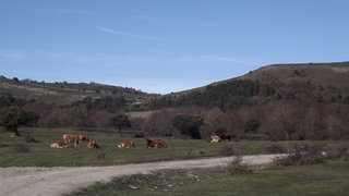 Arkamo (M.Rozas Argazkia)